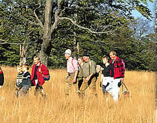 Wandern und Nordic Walking im Bayerischen Wald, Urlaub in Bayern