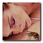 Insektenschutz l&auml;sst Sie entspannt frische Luft genie&szlig;en