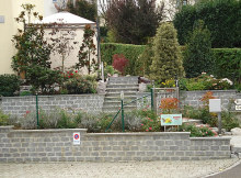 bild2.jpg