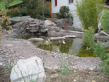 bild2.jpg