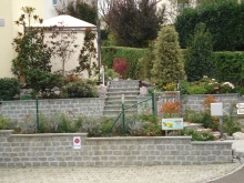 DSC00100.JPG