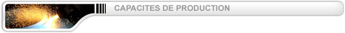 Capacit&eacute; de production BENITIS