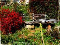 Gartensitzplatz