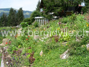 Permakulturgarten