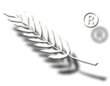 Palmenwedel-Logo