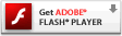 Flash installieren