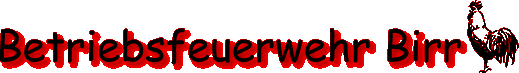 Betriebsfeuerwehr Birr