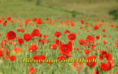 bettlach-06.jpg
