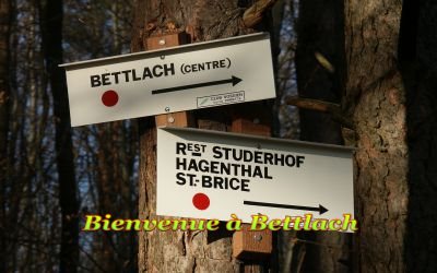 bettlach-15.jpg