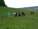 Durch Wiesen und Waelder