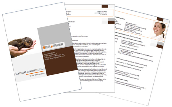 bewerbung deckblatt lebenslauf vorlage