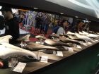 Selle Italia