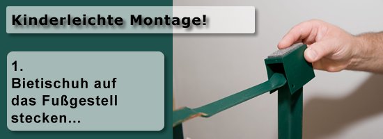 montage1.jpg