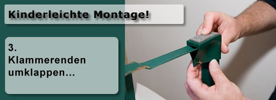 montage3.jpg