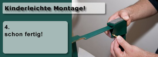 montage4.jpg