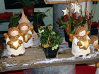 Advents-Ausstellung 2007