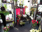 Advents-Ausstellung 2007