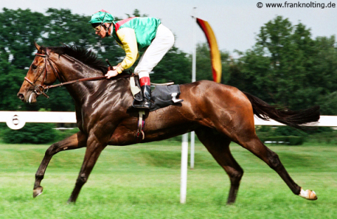 Bellino xx  im Zieleinlauf mit Kevin Woodburn 31.05.1998 K�ln � Nolting.jpg