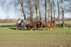 dsc05928 klein.jpg