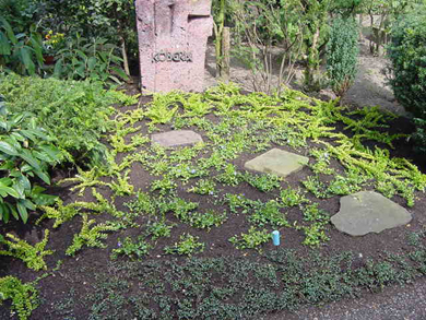 Dauerhafte Grabanlage