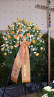 Kranz-orange-weiss.jpg