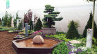 23.04.2010 026.jpg
