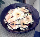 gerbera.jpg