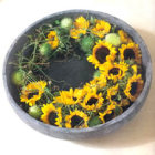 sonnenblumen-2.jpg