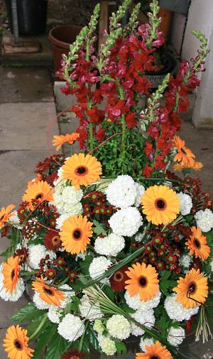 Blumen-Dickreiter_Immenstaad