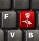 Blumen Online Bestellen bei der Z&uuml;richer Blumen-Fee, dem Blumengesch&auml;ft in Albisrieden