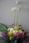 Strauss_Fr.60bis70.00 Strauss_Fr.60bis70.00