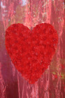 Mietbanner_Fr.25.00 Mietbanner_Fr.25.00