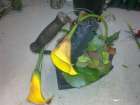 Gesteck_Fr.30bis40.00 Gesteck_Fr.30bis40.00