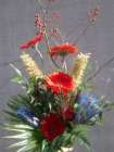 Strauss_Fr.60bis70.00 Strauss_Fr.60bis70.00