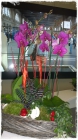 Orchidee_Fr.250bis300.00 Orchidee_Fr.250bis300.00