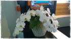 Orchidee_Fr.70bis100.00 Orchidee_Fr.70bis100.00