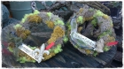 Grabschmuck_Fr.53.00 Grabschmuck_Fr.53.00