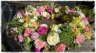 Kranz_Fr.550bis600.00 Kranz_Fr.550bis600.00