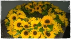 Kranz_Fr.350bis400.00 Kranz_Fr.350bis400.00