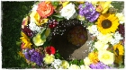 Kranz_Fr.200bis250.00 Kranz_Fr.200bis250.00