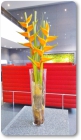 Gesteck_Fr.80.00 Gesteck_Fr.80.00