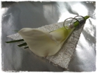 Anstecker_Fr.10bis15.00 Anstecker_Fr.10bis15.00