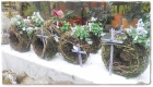 Grabschmuck_Fr.25bis35.00 Grabschmuck_Fr.25bis35.00