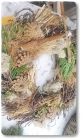 Grabschmuck_Fr.25bis35.00 Grabschmuck_Fr.25bis35.00