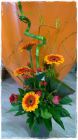 Strauss_Fr. 30.00-35.00 Strauss_Fr. 30.00-35.00