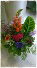 Strauss_Fr. 50.00 Strauss_Fr. 50.00