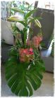 Strauss_Fr. 45.00-60.00 Strauss_Fr. 45.00-60.00