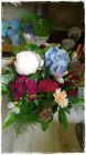 Strauss_Fr. 50.00-55.00 Strauss_Fr. 50.00-55.00
