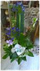 Strauss_Fr. 45.00-50.00 Strauss_Fr. 45.00-50.00