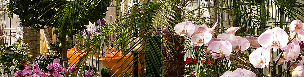 Herzlich Willkommen bei Blumen Frieden in Wangen/D�bendorf